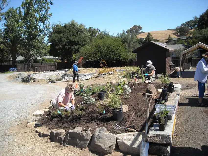 Home Ground Habitats - 10 - Berm Aug 2020