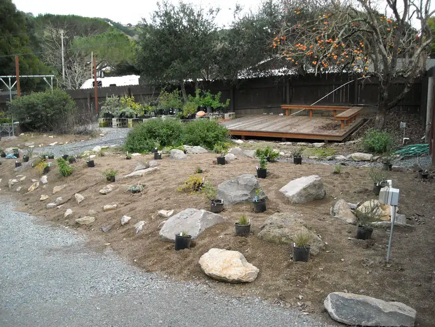 Home Ground Habitats - 5 - Jan 2020 - Setting Out Plants