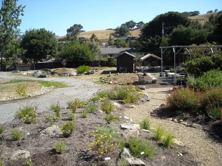Home Ground Habitats - 8 - Aug 2020 - Plants Are Establishing