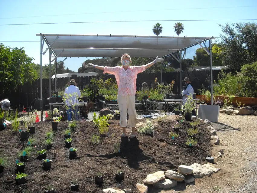 Home Ground Habitats - 9 - Frances USH Planted Aug 2020