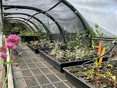 Hoop house