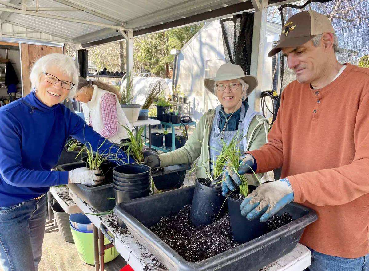 Volunteers