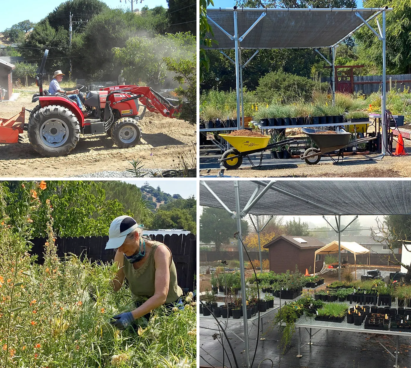 Home Ground Habitats Nursery at work