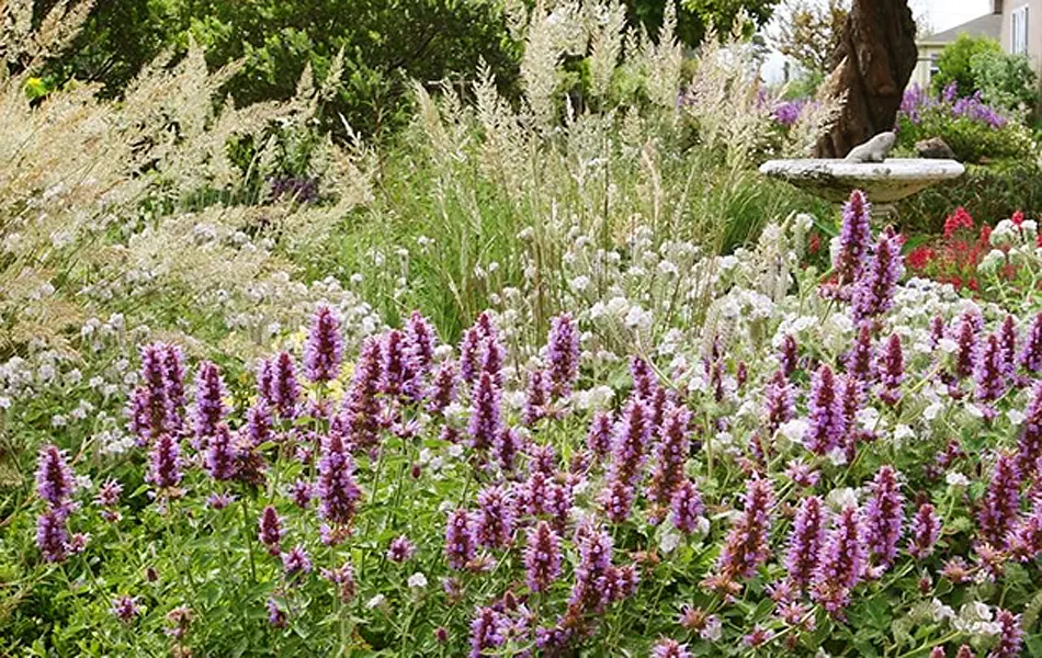 Habitat Gardening