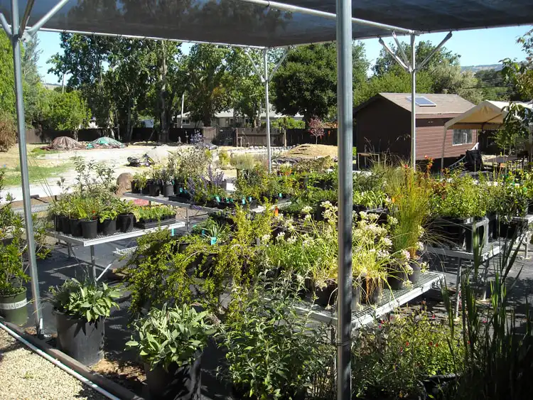 Home Ground Habitats - B6 - Nov 2019 - new USH erected