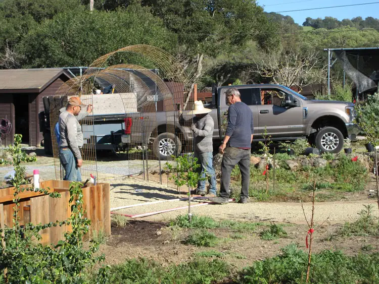 Home Ground Habitats - E1 - Setting Up the Tunnel Arbor