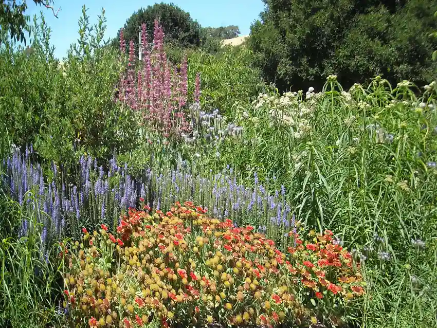 Home Ground Habitats - Flower Garden