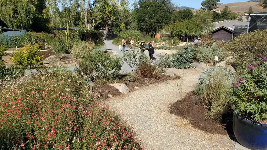 Home Ground Habitats - Fall