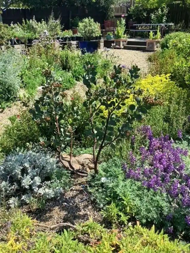 Home Ground Habitats - Garden