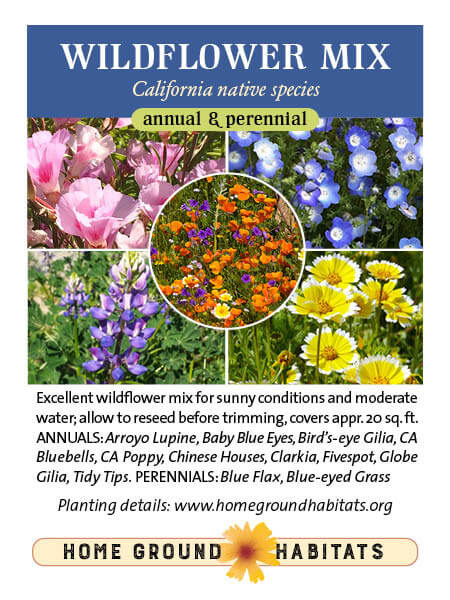 Home Ground Habitats - Clarkia: Laura Lovett; Baby Blue Eyes: Laura Lovett; Arroyo Lupine: the Marmot CC; Tidytips: James Gaither CC; Poppies: Ashok Rangi CC