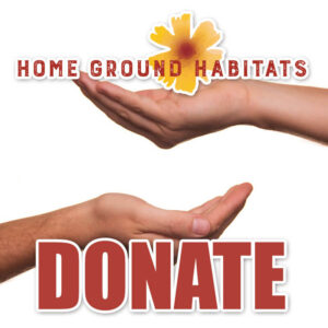Donation