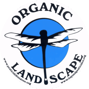 Organic Landscape Sign with Dragonfly