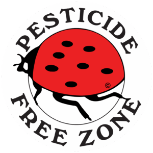Ladybug Sign